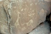 Felszeichnungen der nomadisierenden San - 5000-6000 Jahre alt